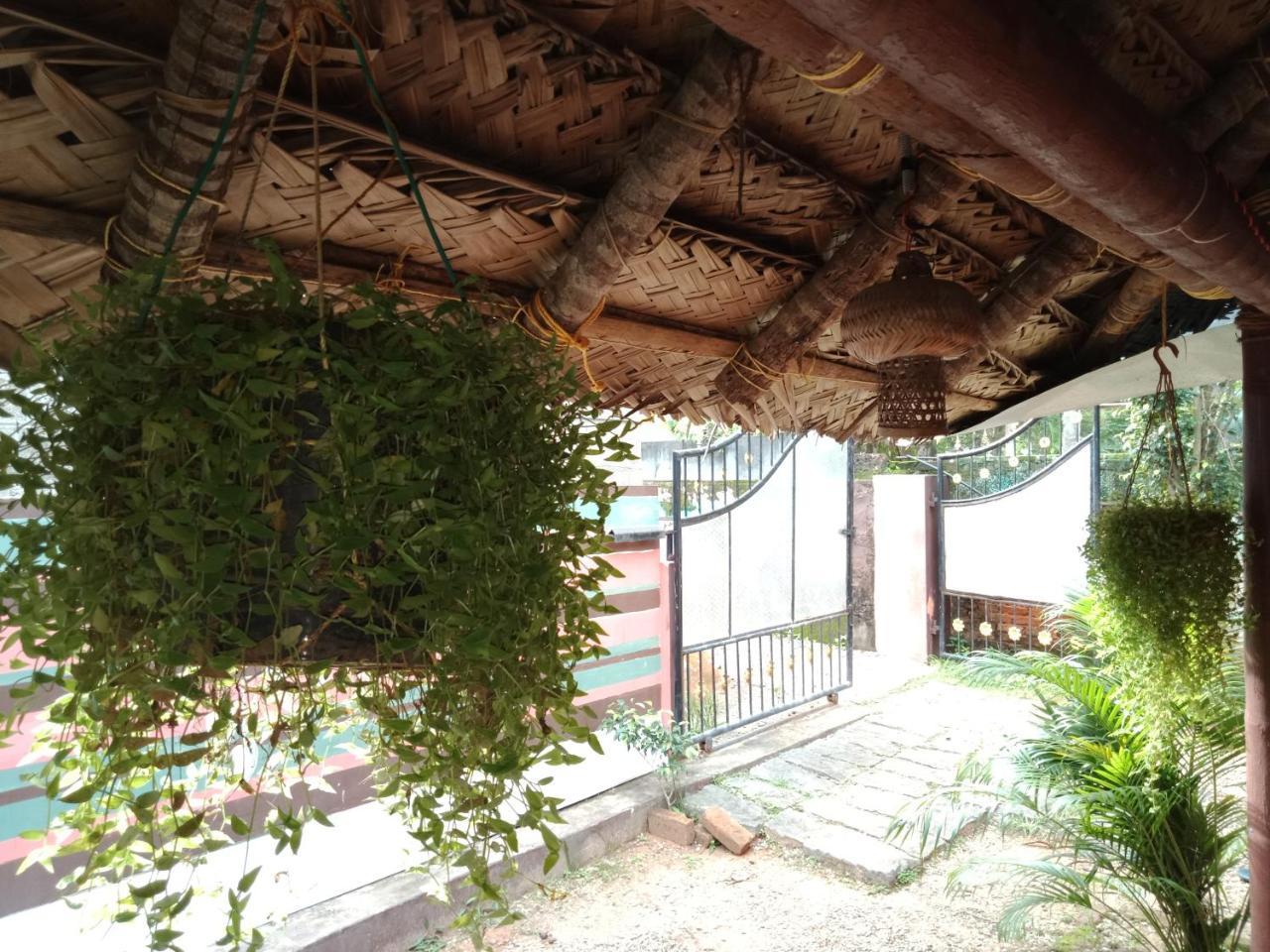 فندق فاركَالافي  Mango Palace المظهر الخارجي الصورة